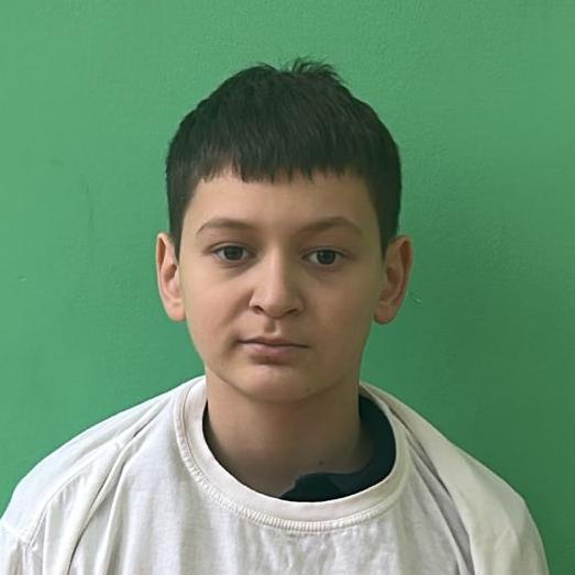 Шевырев Мирон Дмитриевич