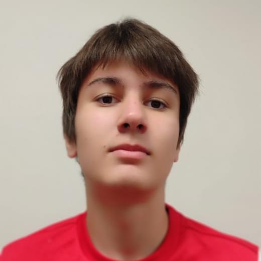 Моисеев Артем Месутович