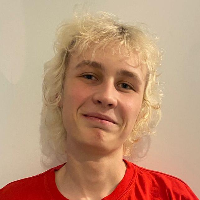 Мельников Арсений Сергеевич 