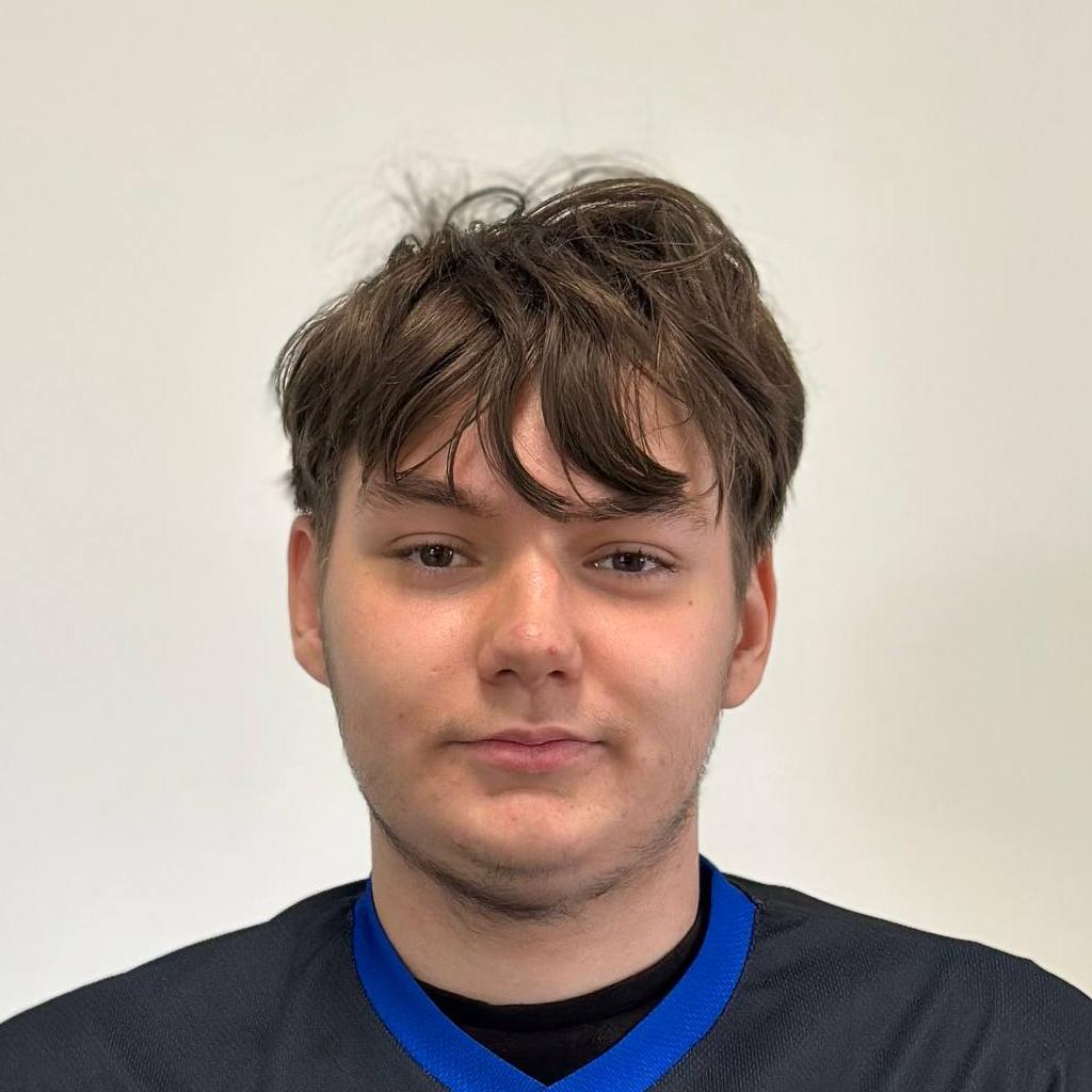 Сафронов Даниил Сергеевич 