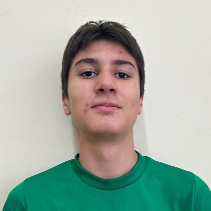 Моисеев Артем Месутович