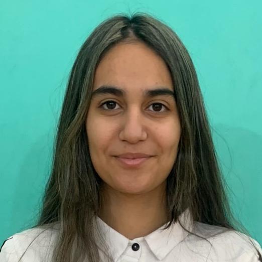 Гейдарова Эльмира Мушвиг кызы