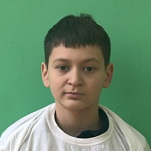 Шевырев Мирон Дмитриевич